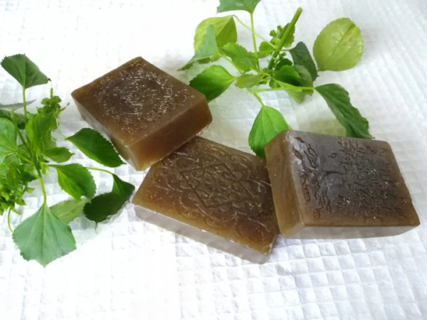 Zupppy Herbals Nourish Your Skin Naturally with Kuppaimeni Soap