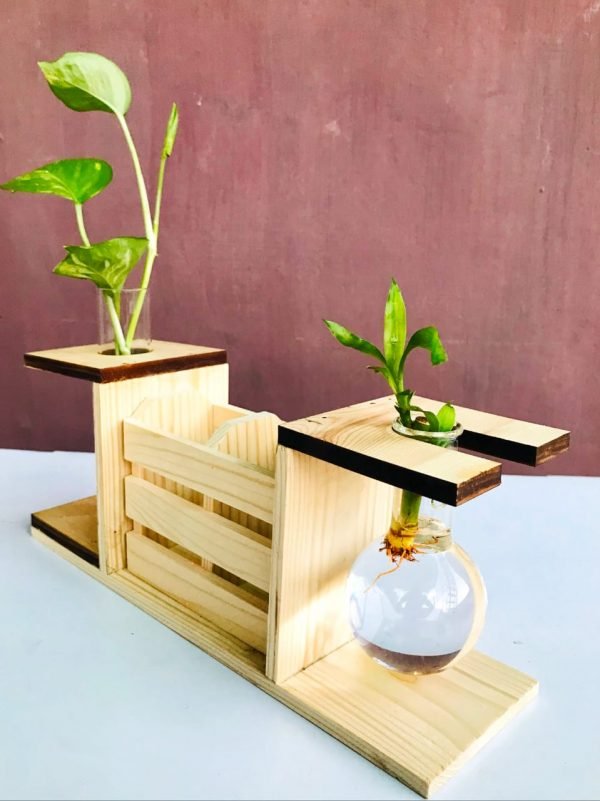 Hydroponic Plant Vases, Glass Vase Planter Terrarium Table Desktop Bonsai