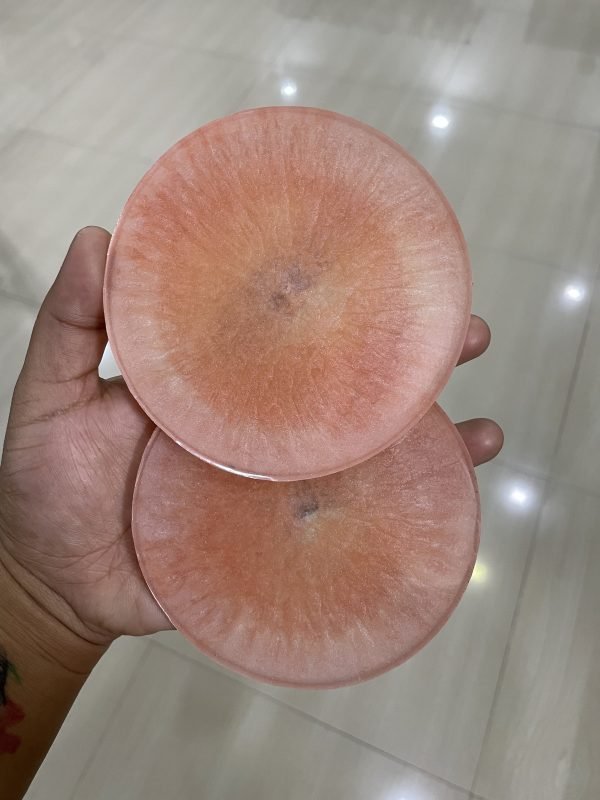 Zupppy Home Decor THE PEACH resin coasters set!