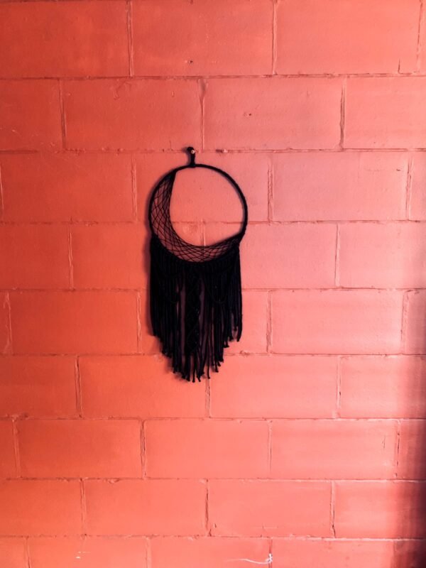 Zupppy wall hanging Macrame Crescent Moon Dreamcatcher