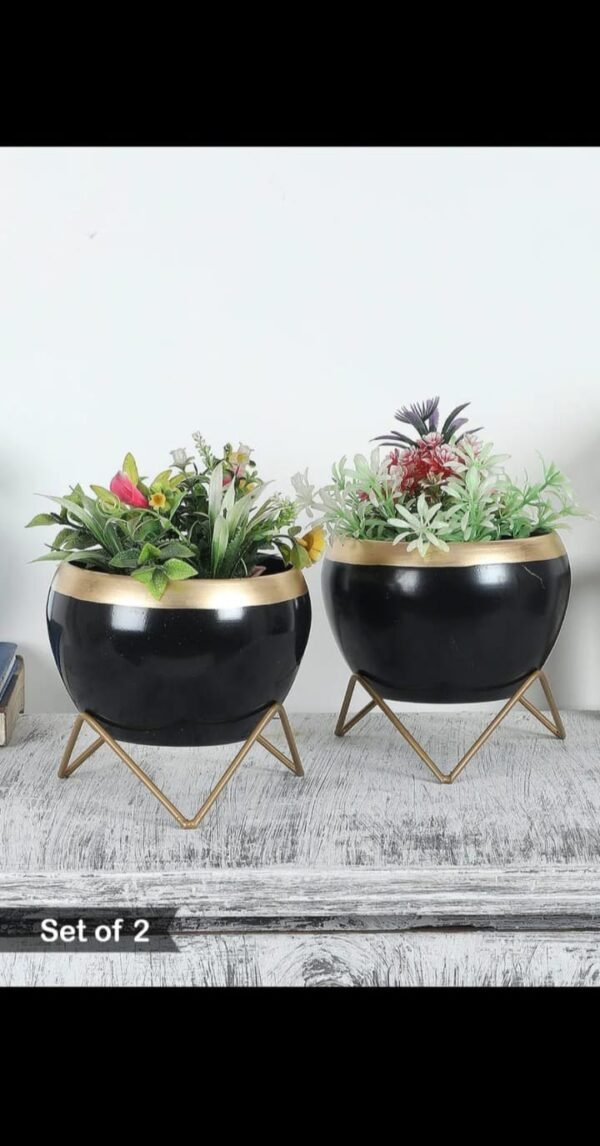 Zupppy Gifts Elegant Apple Planter Set of 2 – Modern Home Décor Duo