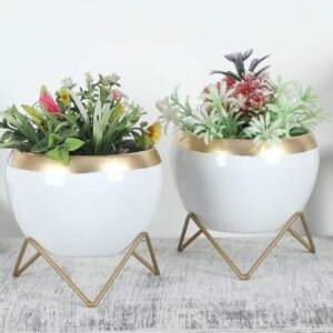 Zupppy Gifts Elegant Apple Planter Set of 2 – Modern Home Décor Duo