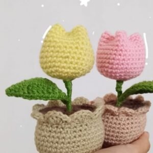 Zupppy Crochet Products Handmade Crochet Pot for Home & Office Decor