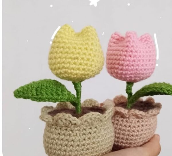 Zupppy Crochet Products Handmade Crochet Pot for Home & Office Decor